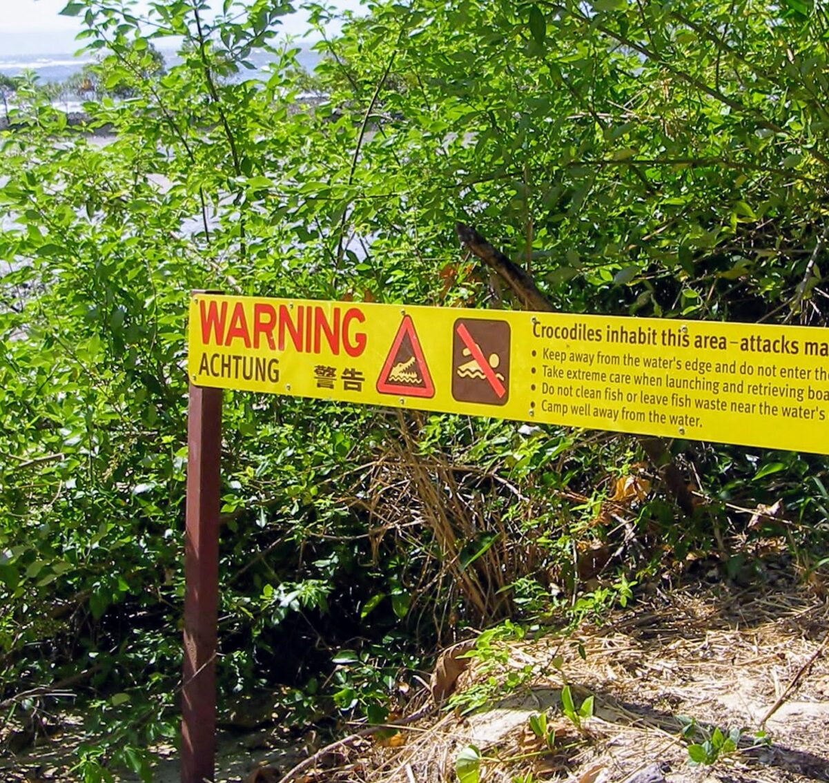 Port Douglas Inlet Crocodile Warning Sign Near The Sugar Wharf