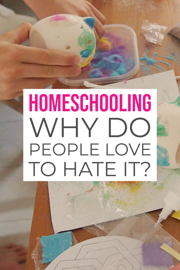 Homeschooling Why do people love to hate it