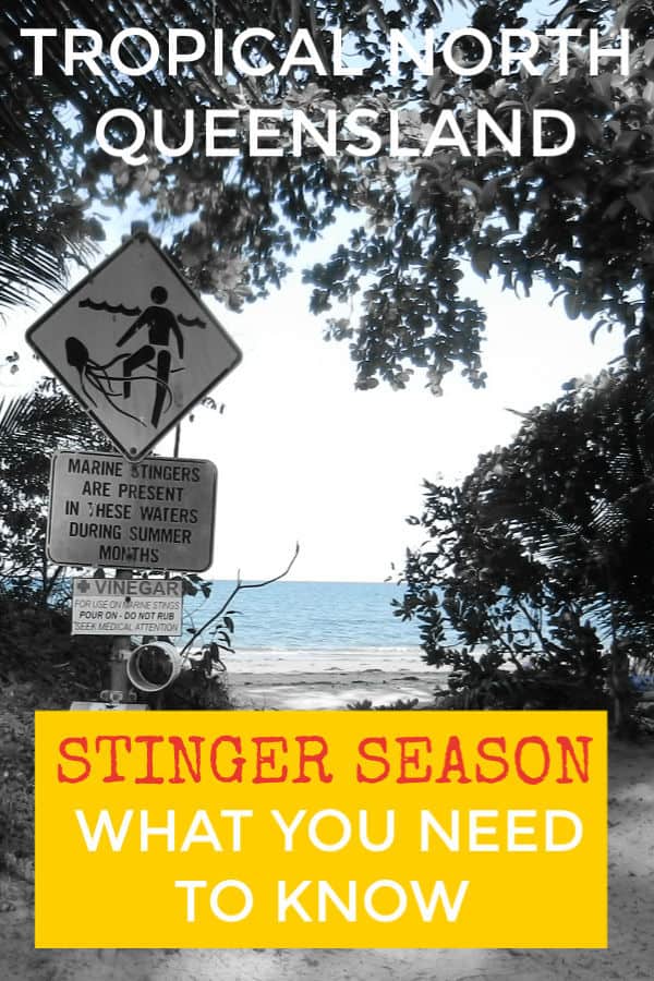 Queensland Stinger Season Port Douglas Cairns Australia