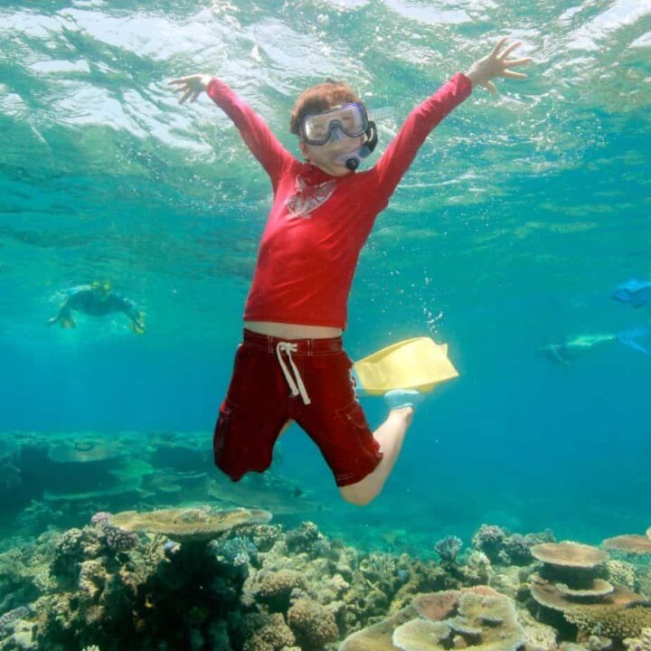 The Great Barrier Reef in Stinger Season Queensland