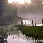 The platypus pond at Tarzali Lakes