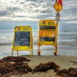 port douglas stinger season beach closed marine stingers