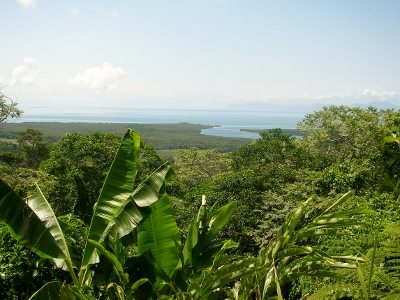 Daintree River. Port Douglas to Cooktown by Four Wheel Drive