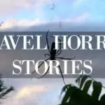 Travel Horror Stories Travel Horror Stories Spider