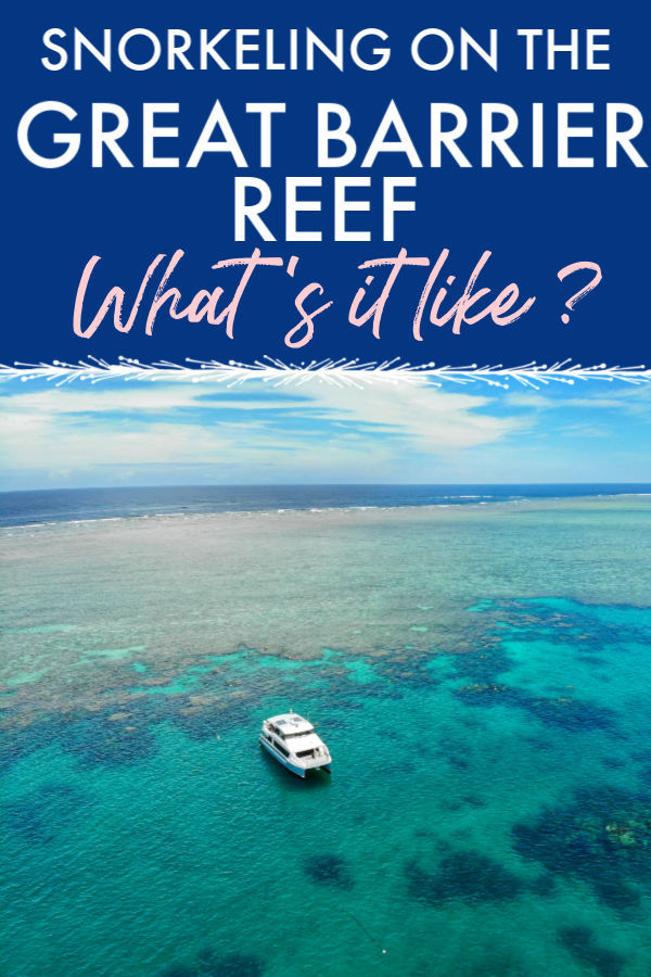 Snorkelling On The Great Barrier Reef