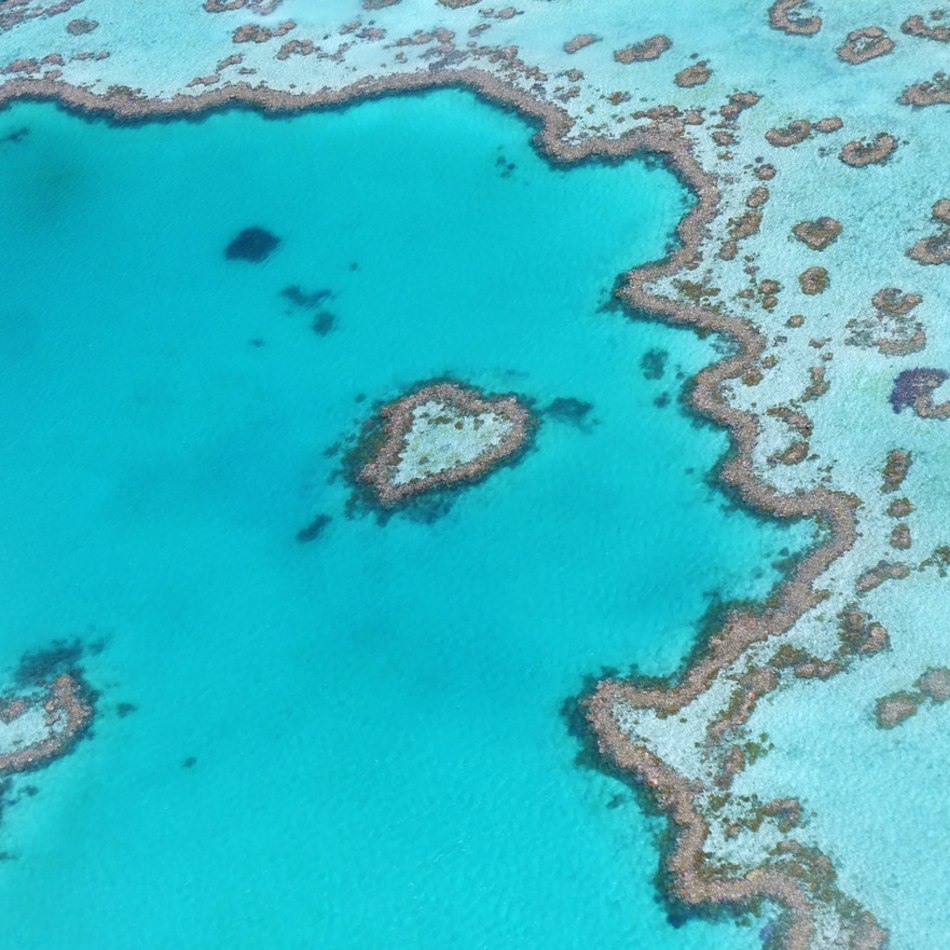 great barrier reef