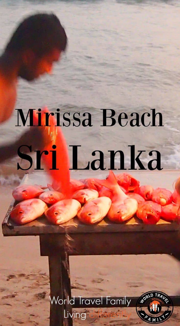 Mirissa Beach Sri Lanka (Paradise Found!)