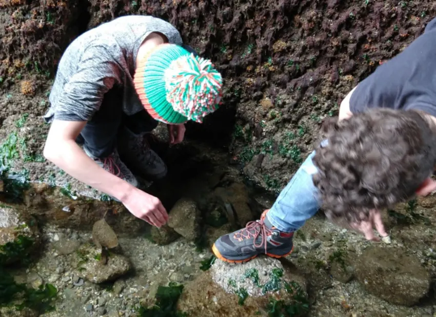 children rockpooling free things to do in the UK with kids british beaches