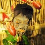 Ripley's Believe It or Not New York - What Did We Think? ripleys belive it or not new york shrunken head exhibits