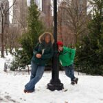 winter in new york