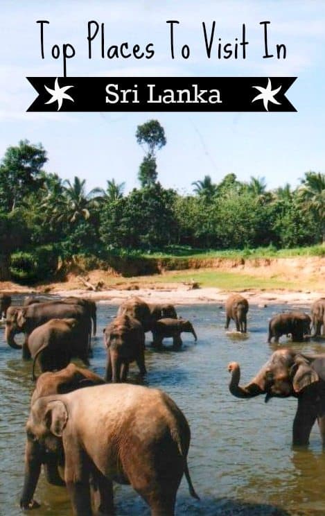 Sri Lanka Travel Blog