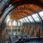 Natural History Museum Interior