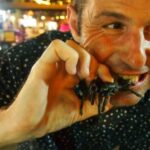 A Challenging Week in Siem Reap Cambodia Deep fried tarantulas.Night Market Siem Reap