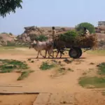 Visiting Hampi and Hampi to Goa Hampi India