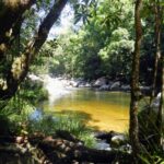 Mossman Gorge