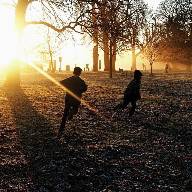 Frost park London