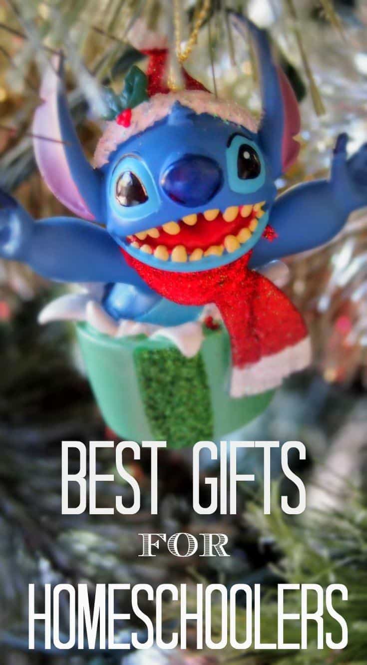 Best Gifts for Homeschoolers