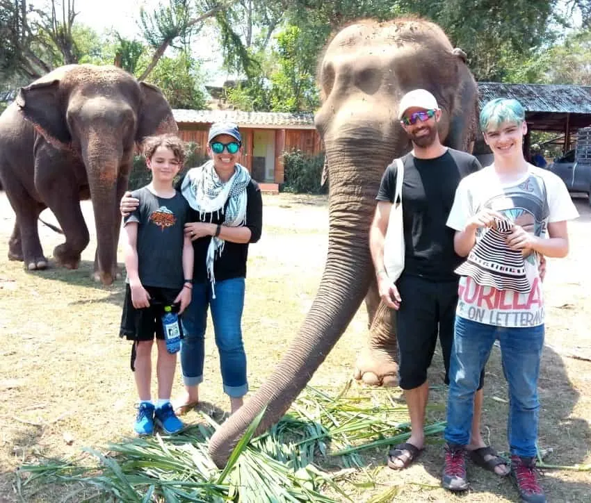 Elephants world kanchanaburi