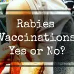Are rabies vaccinations necessary for travel