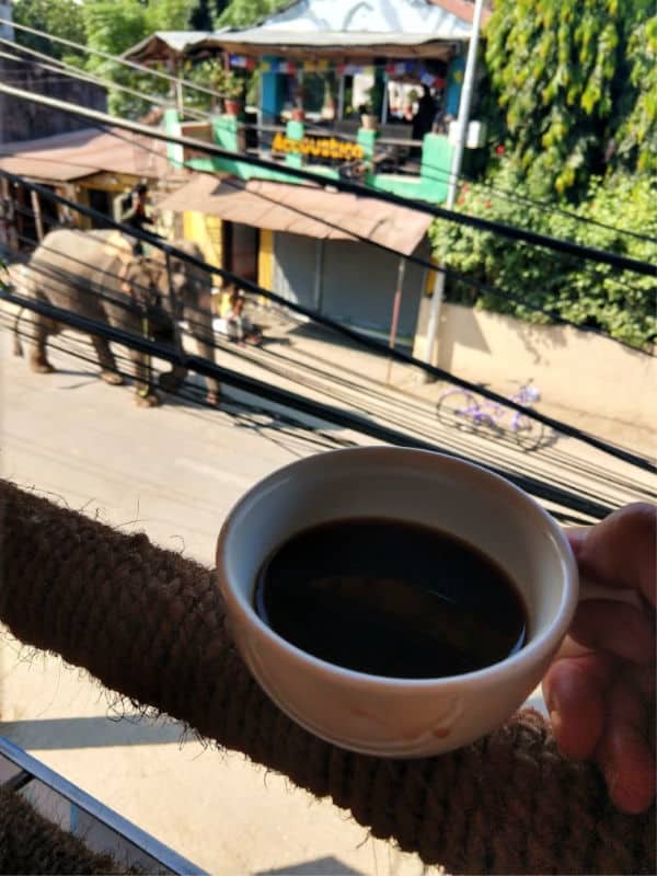 Sauraha good coffee at Royal kitchen lounge and bar.
