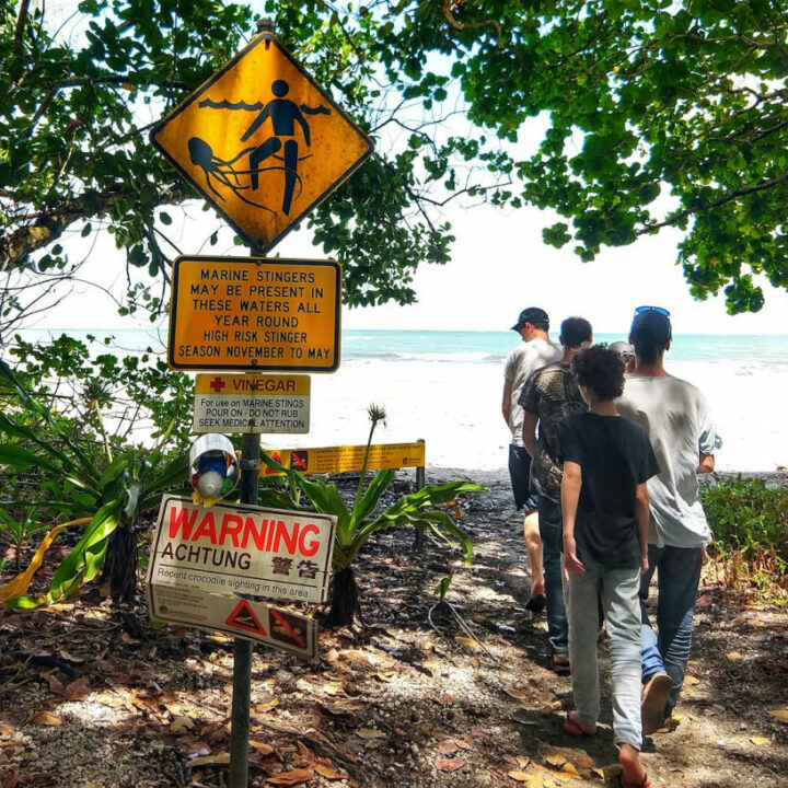 Things to do in Cairns and Port Douglas Stinger Season