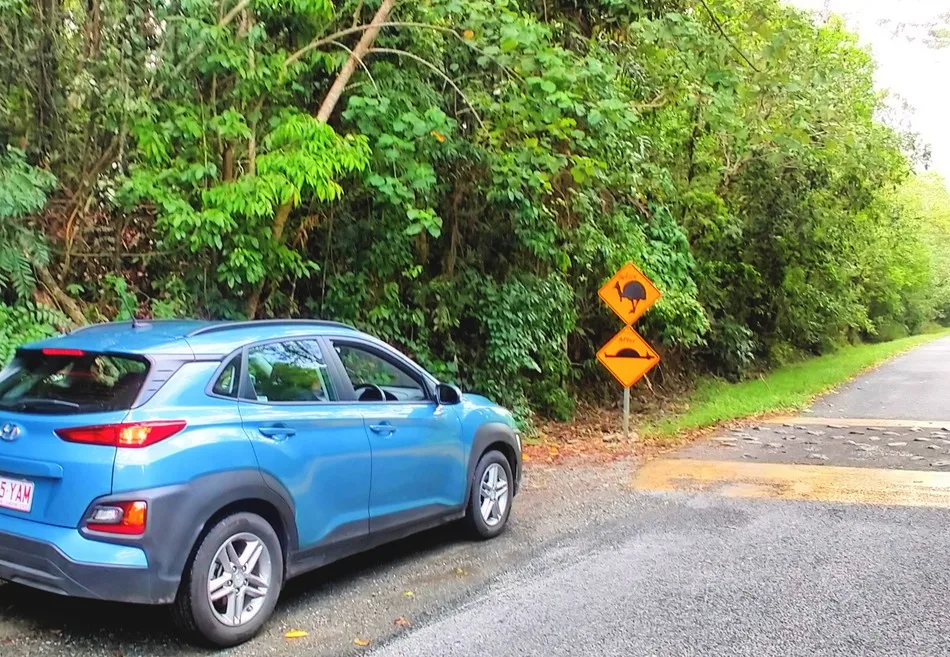 Car Hire Port Douglas