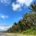 Four Mile Beach Port Douglas on a sunny but windy day in December. When is the best time to visit Port Douglas