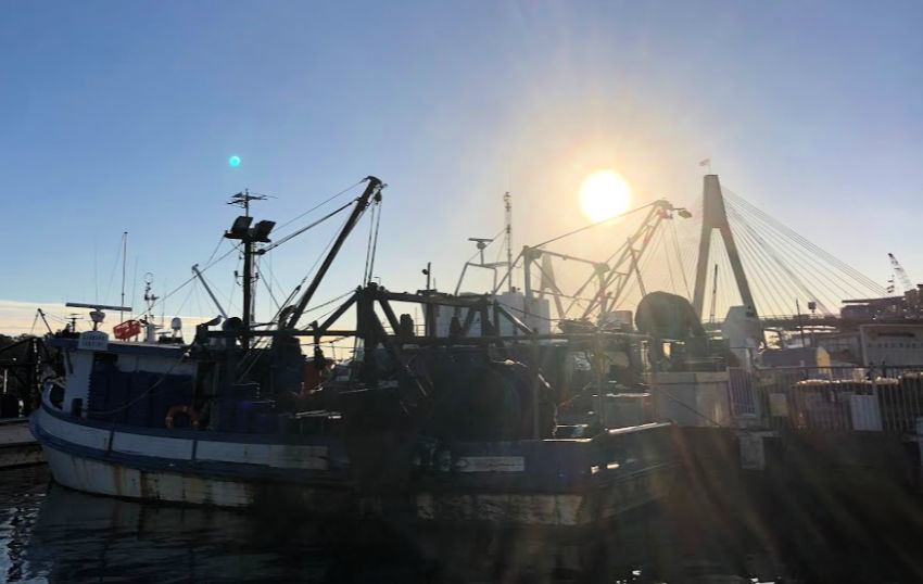 Fishing Boats at Sydney Fish Market