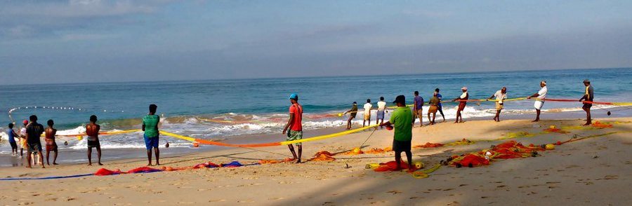 A great view while getting from Colombo to Galle
