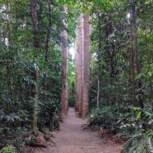 Paronella Park Gardens