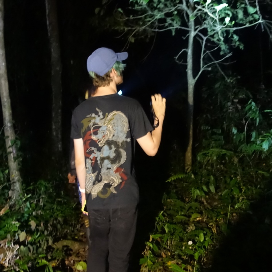 jungle night safari Sabah Borneo