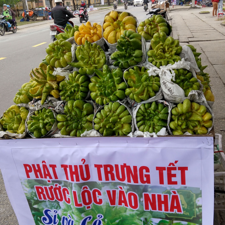 Foods eaten at Tet Buddha's Hands