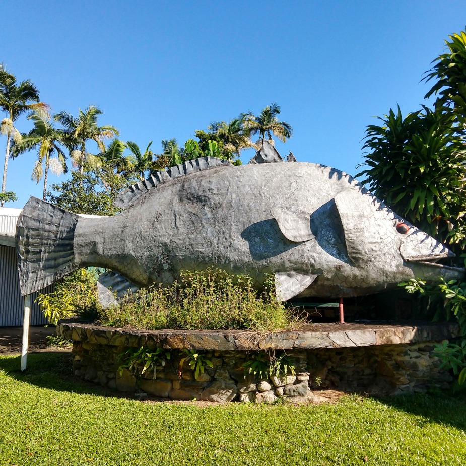 Popular Australian Food Barramundi