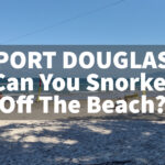 Can You Snorkel Off The Beach in Port Douglas? Port Douglas can you snorkel off the beach