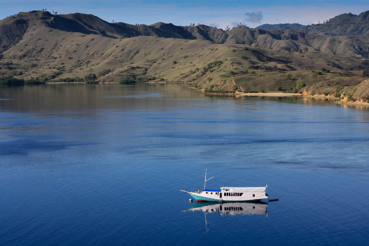 komodo island rainforest 7 natural wonders of the world