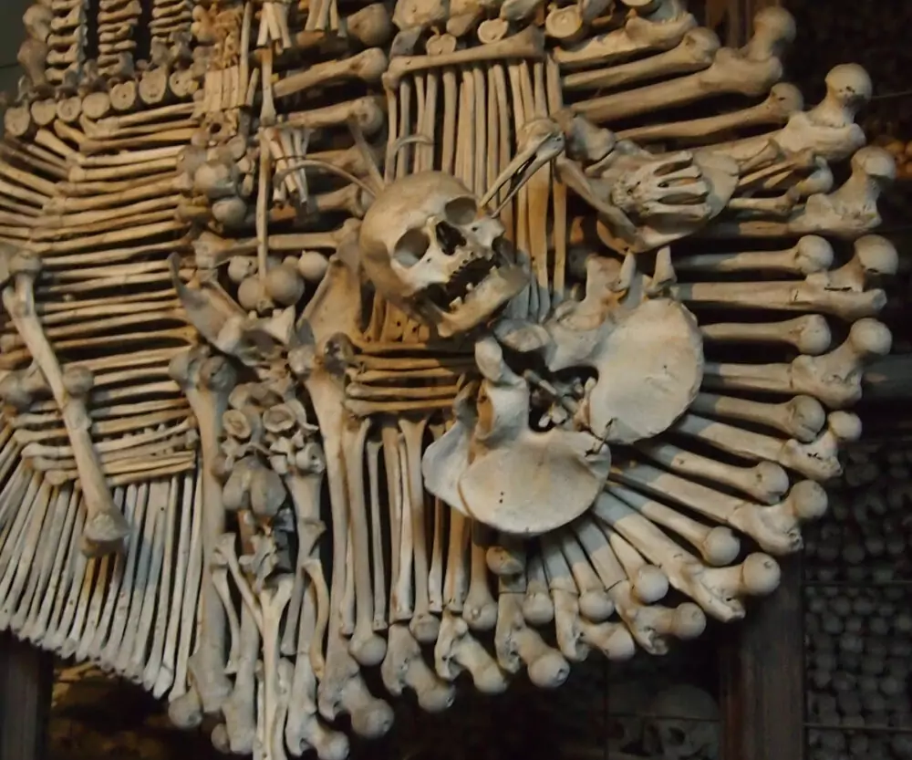 Bone Church coat of arms bird