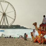 Dubai scene