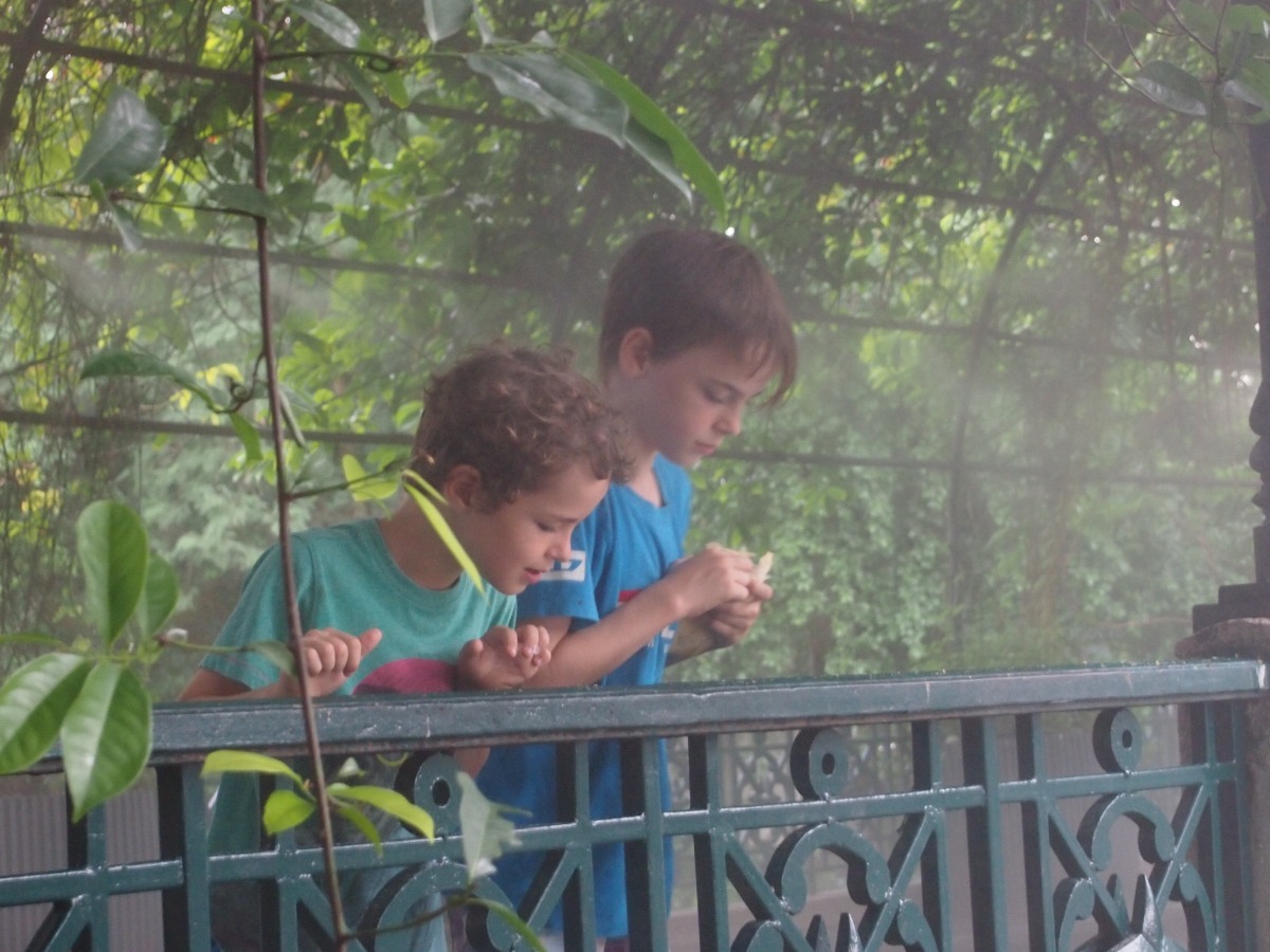 Visit Dusit Zoo Bangkok