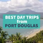 What are the best day trips from Port Douglas