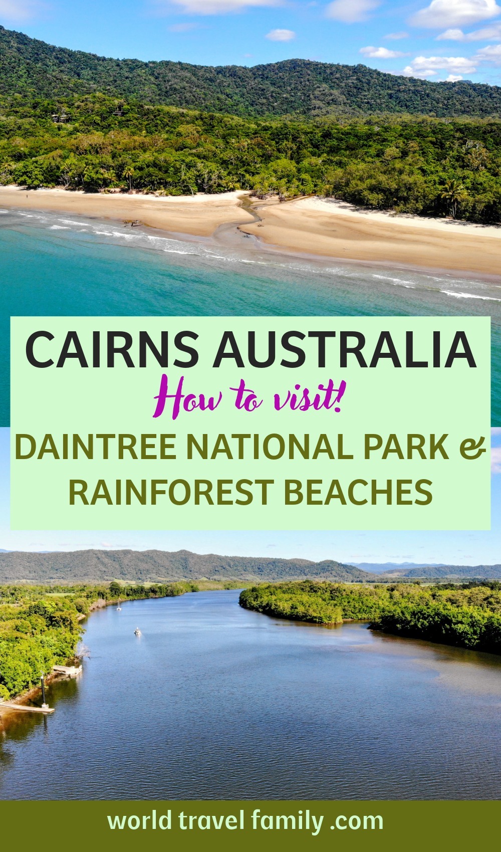 How To Get To Daintree Rainforest From Cairns