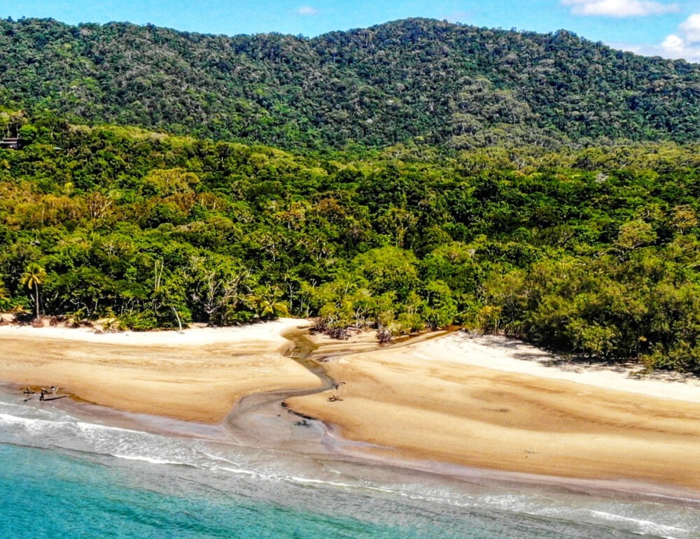Cow Bay Daintree Rainforest