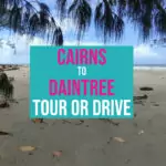 How To Get To Daintree Rainforest From Cairns Daintree from Cairns Daintree Beach