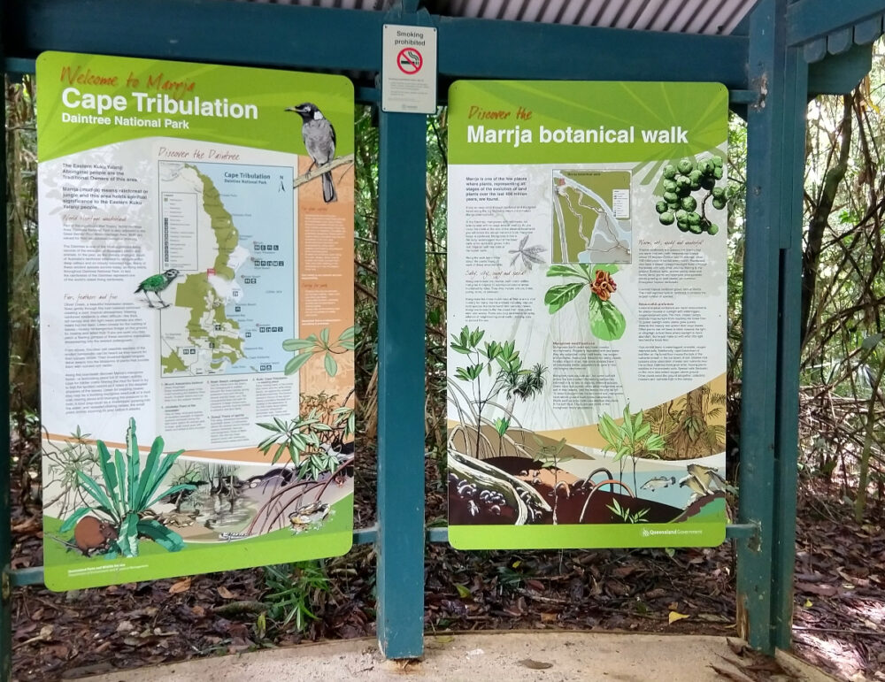 Walking tracks in the Daintree Rainfores