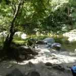 Mossman Gorge swimming