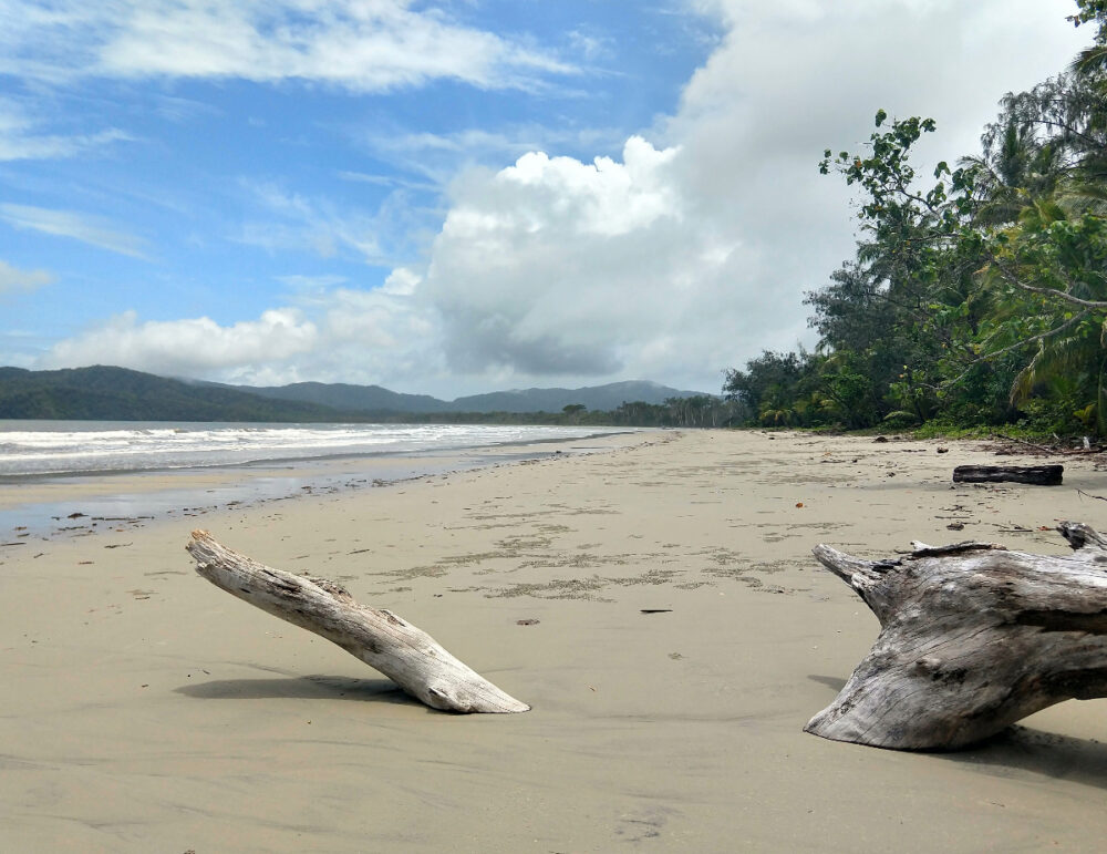 Beaches Daintree Rainforest