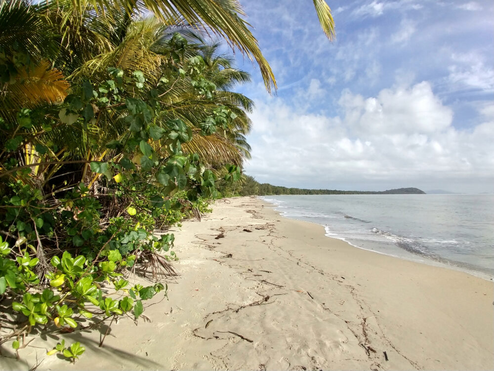 Living in Port Douglas on the beach