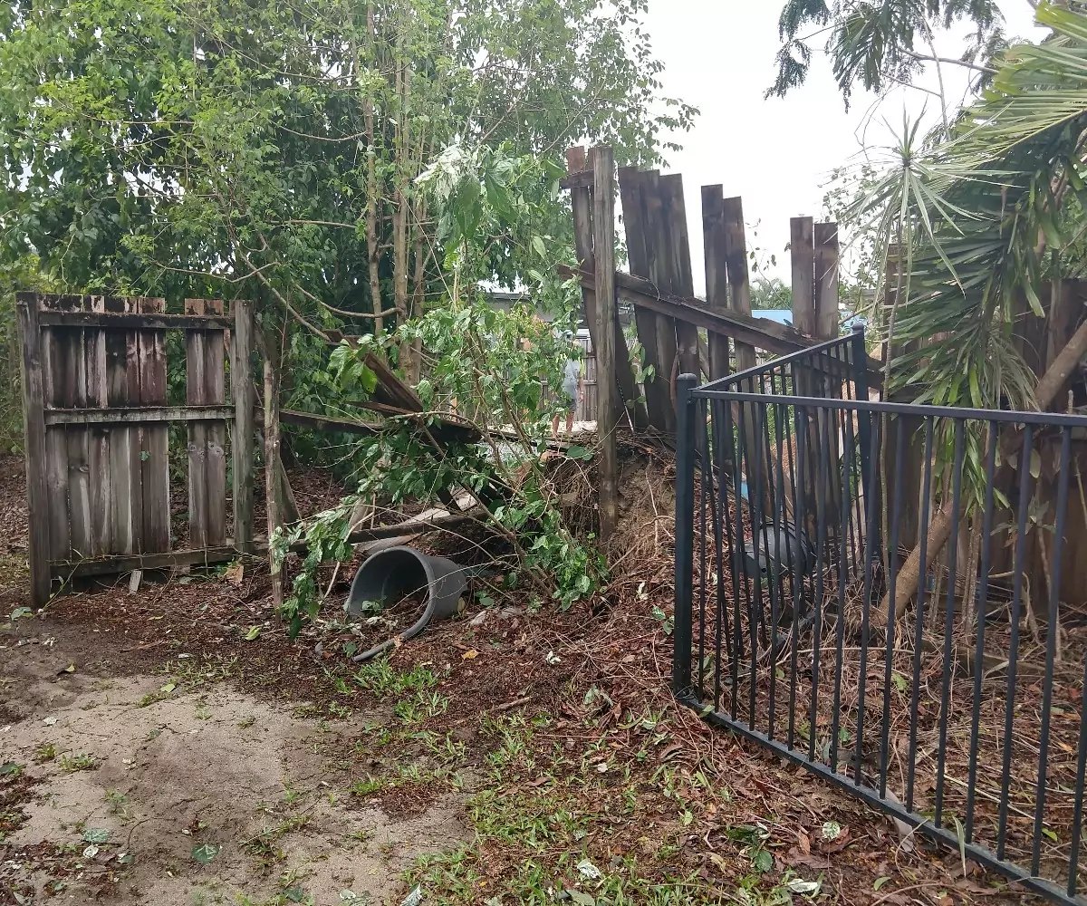 Cyclone damage Port Douglas