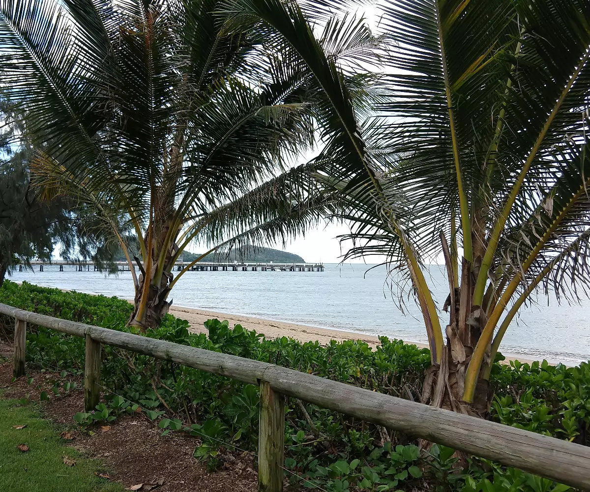 Palm Cove beach
