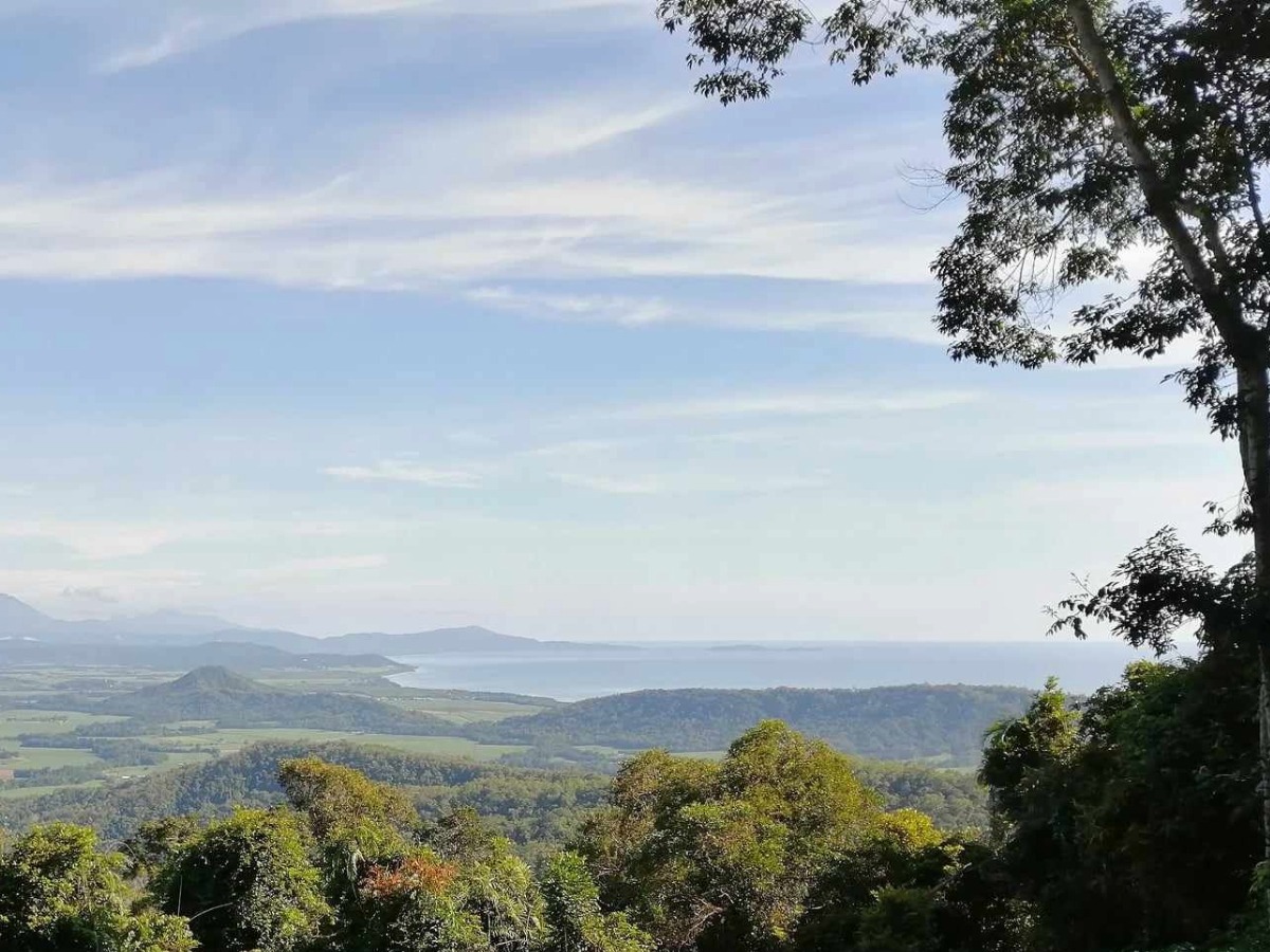 Road from Cairns to Port Douglas