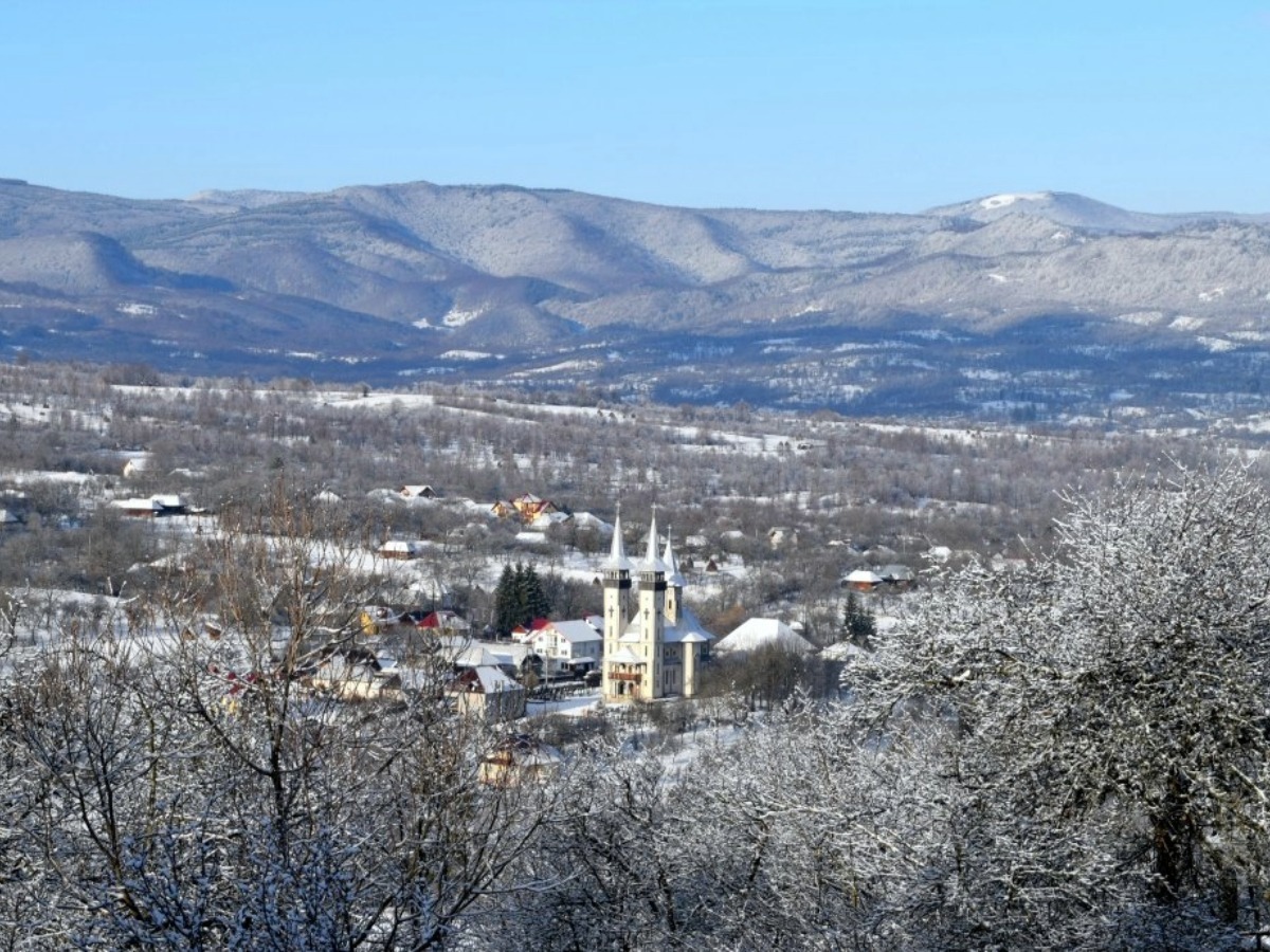 Breb in winter snow